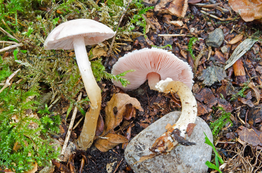 19.10.2015 Öd Lkrs. Altötting
