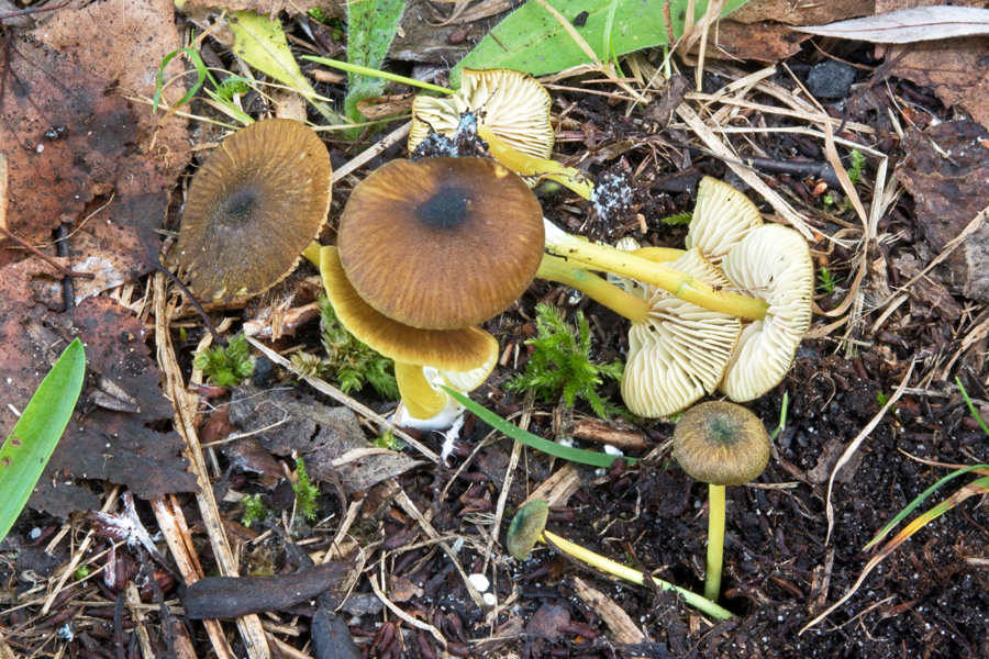 20.10.2019 Peracher Badesee Lkrs. Altötting, nördliches Seeufer