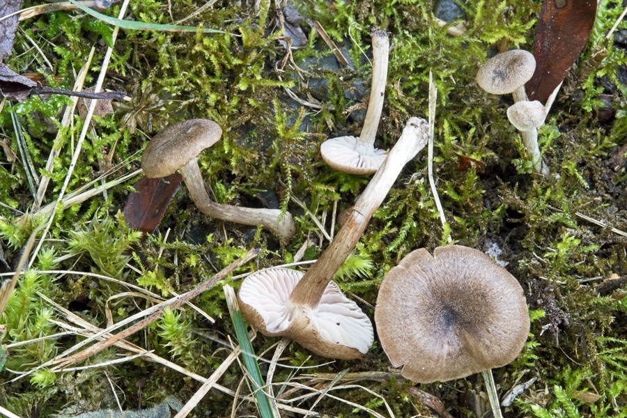 18.09.2018 Peracher Badesee Lkrs. Altötting Nähe Seeufer